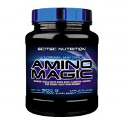Заказать Scitec Nutrition Amino Magic 500 гр